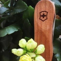 Victorinox Nail Clip 580 - Walnut