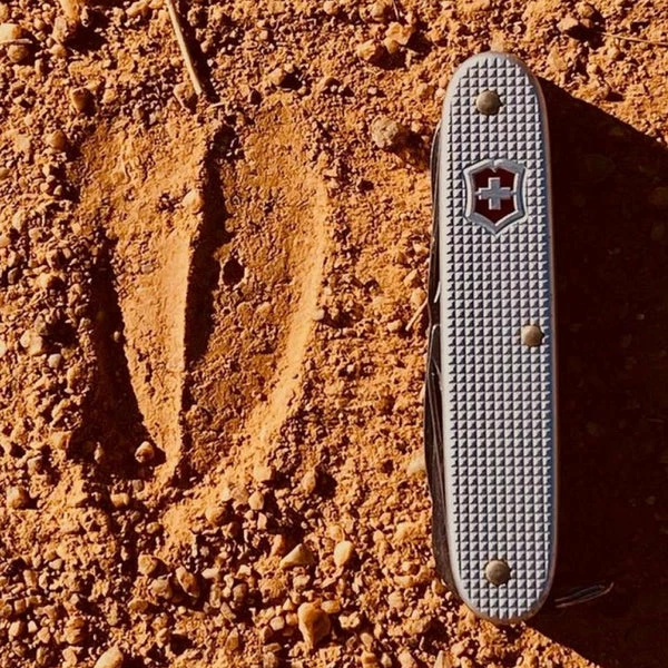 Multi-Tools Victorinox Pioneer X Alox - Silver 6 Multi-Tools Victorinox Pioneer X Alox - Silver