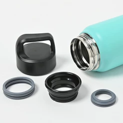 Peacock 0.60L Handle Lid Bottle - Green