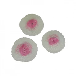 Campingaz Mantle - M Fans And Lights