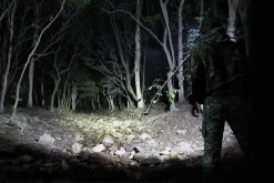 Fenix UE Version Headlamp 900 Lumens