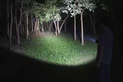 Fenix LD12 2017 Edition LED Flashlight 320 Lumens