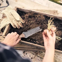 Barebones Hori Hori Classic 12 Barebones Hori Hori Classic