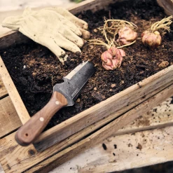 Barebones Hori Hori Classic 11 Barebones Hori Hori Classic