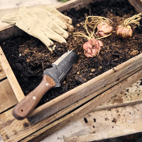 Barebones Hori Hori Classic 6 Barebones Hori Hori Classic