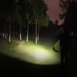 Fenix HL60R Headlamp - Yellow