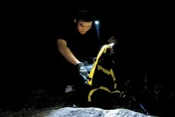 Fenix Sports Headband