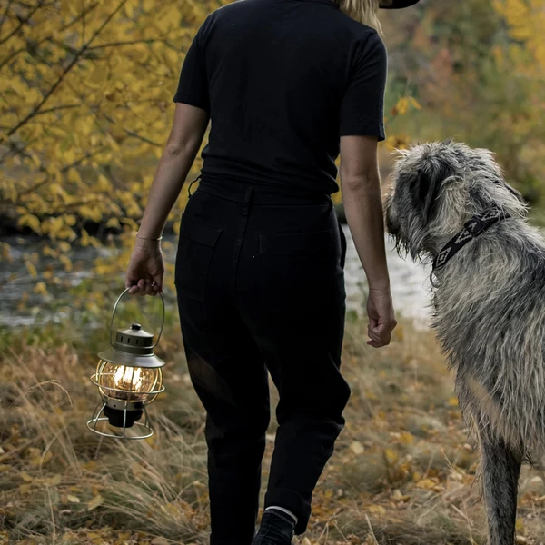 Lanterns Barebones Railroad Lantern Ocean Blue 6 Lanterns Barebones Railroad Lantern Ocean Blue